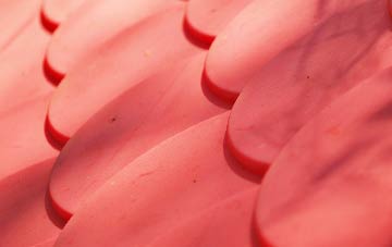 Bimbister plastic roof costs