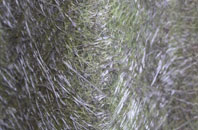 Bimbister fibreglass roof work